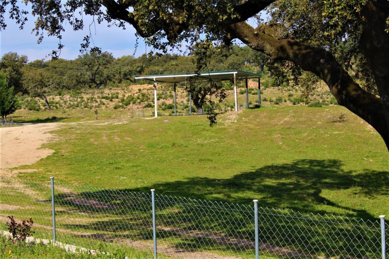 Penzion Monte Da Fonte Santa De Sao Luis Castelo Branco  Exteriér fotografie