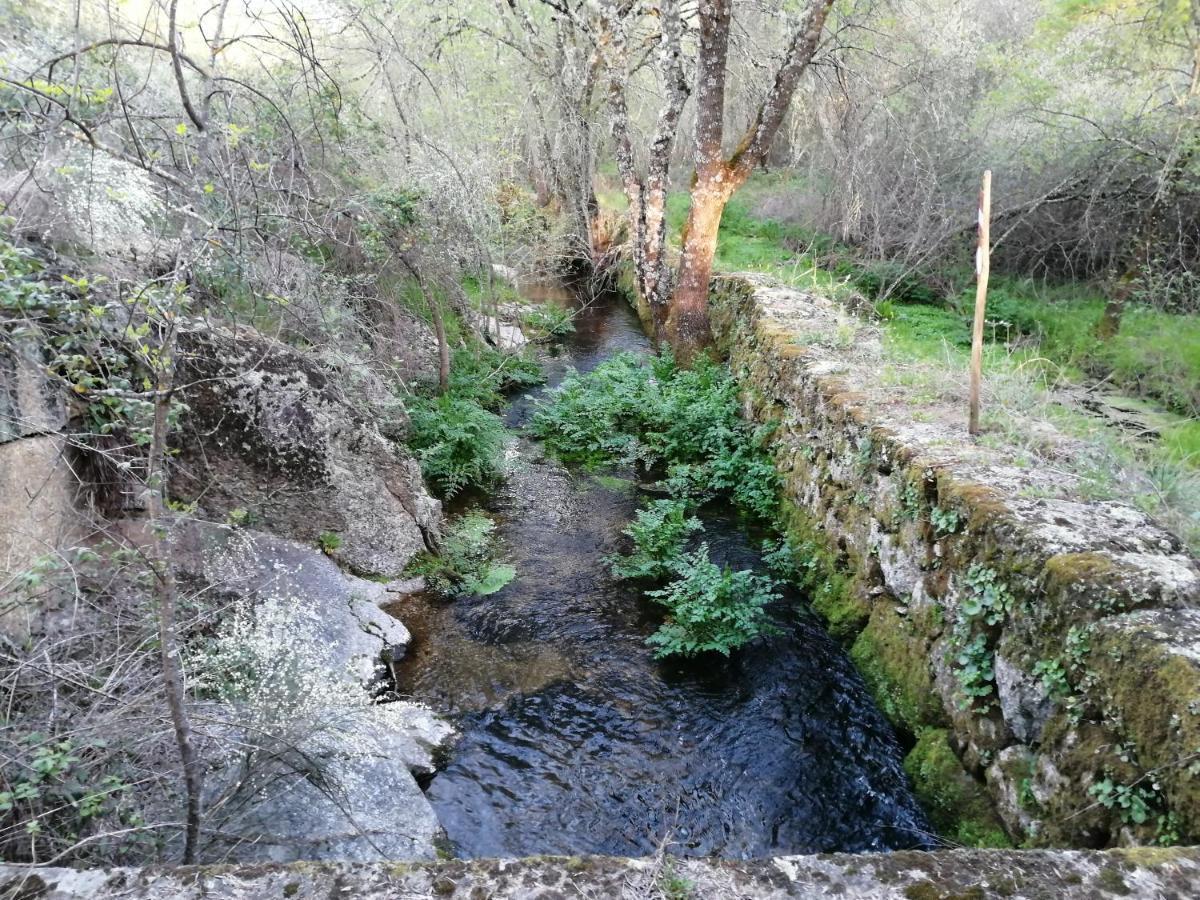 Penzion Monte Da Fonte Santa De Sao Luis Castelo Branco  Exteriér fotografie