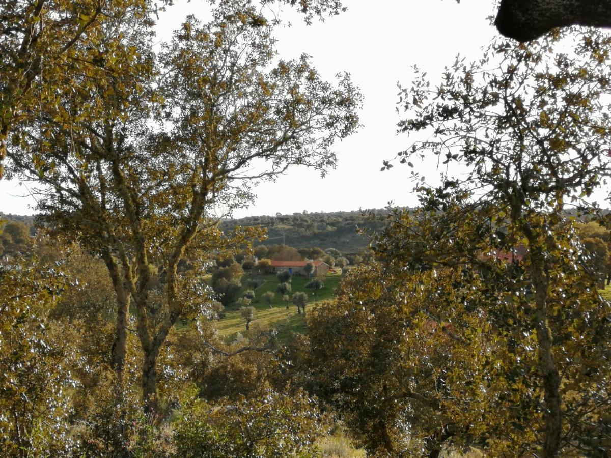 Penzion Monte Da Fonte Santa De Sao Luis Castelo Branco  Exteriér fotografie