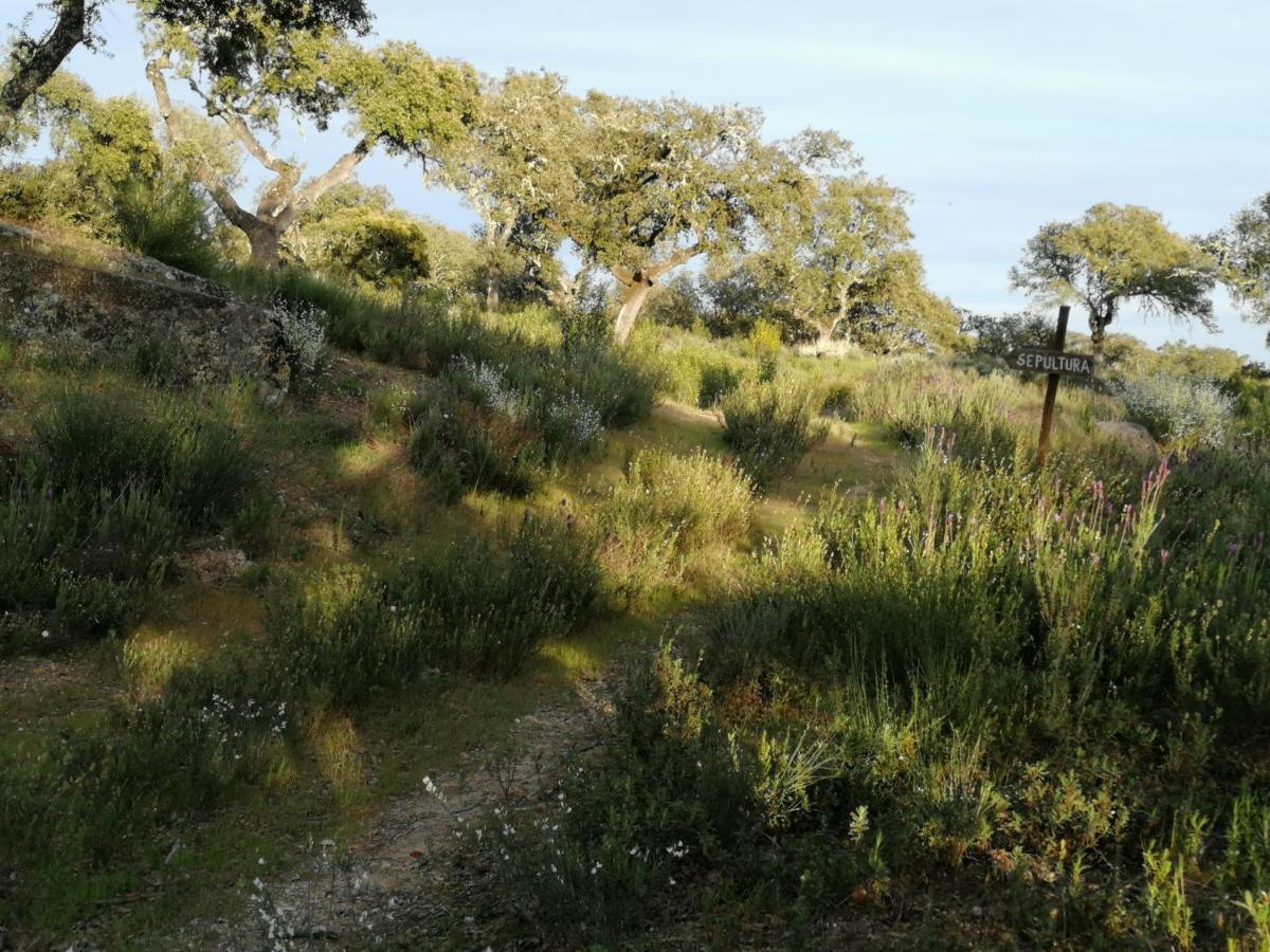 Penzion Monte Da Fonte Santa De Sao Luis Castelo Branco  Exteriér fotografie