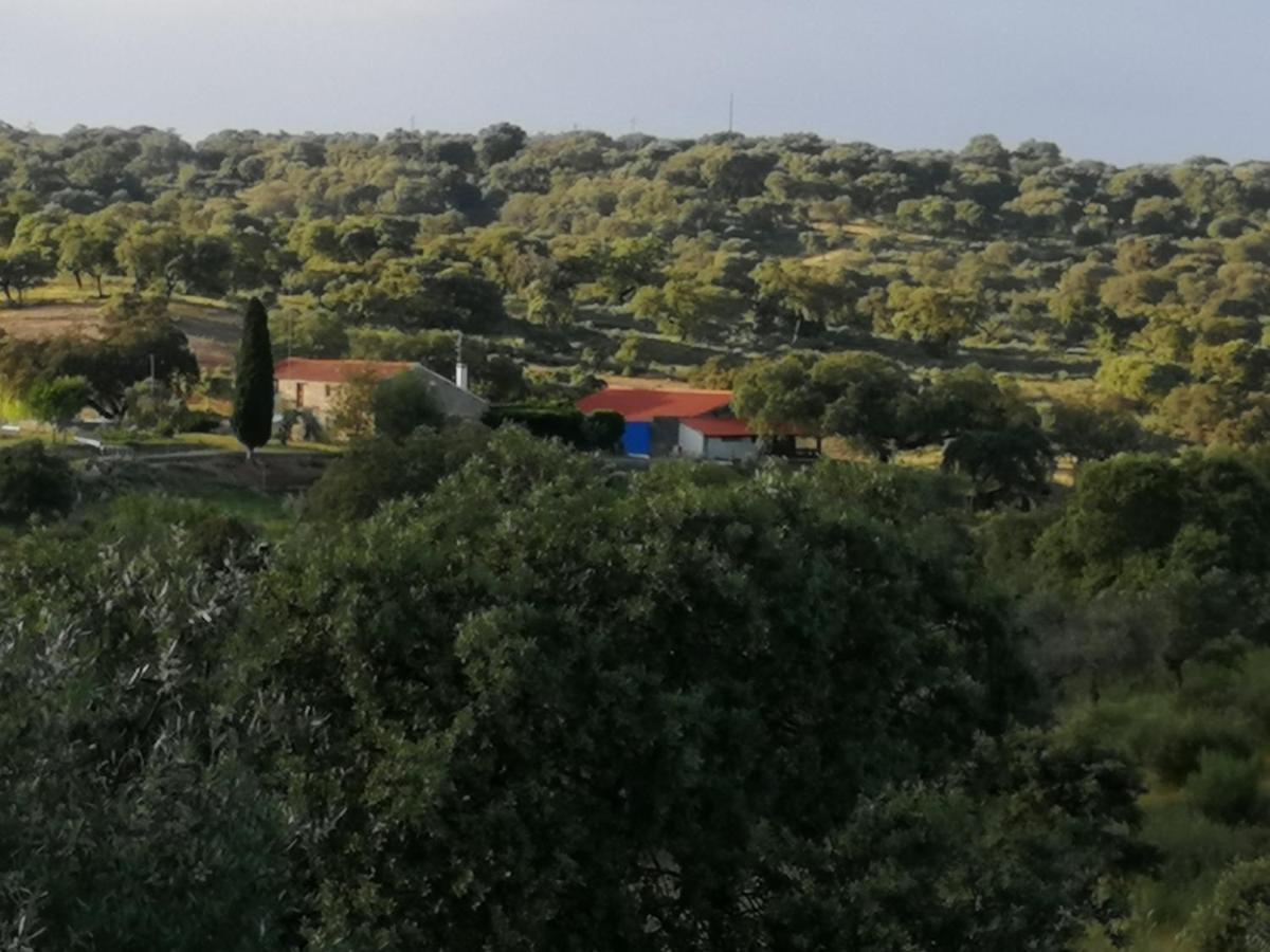 Penzion Monte Da Fonte Santa De Sao Luis Castelo Branco  Exteriér fotografie