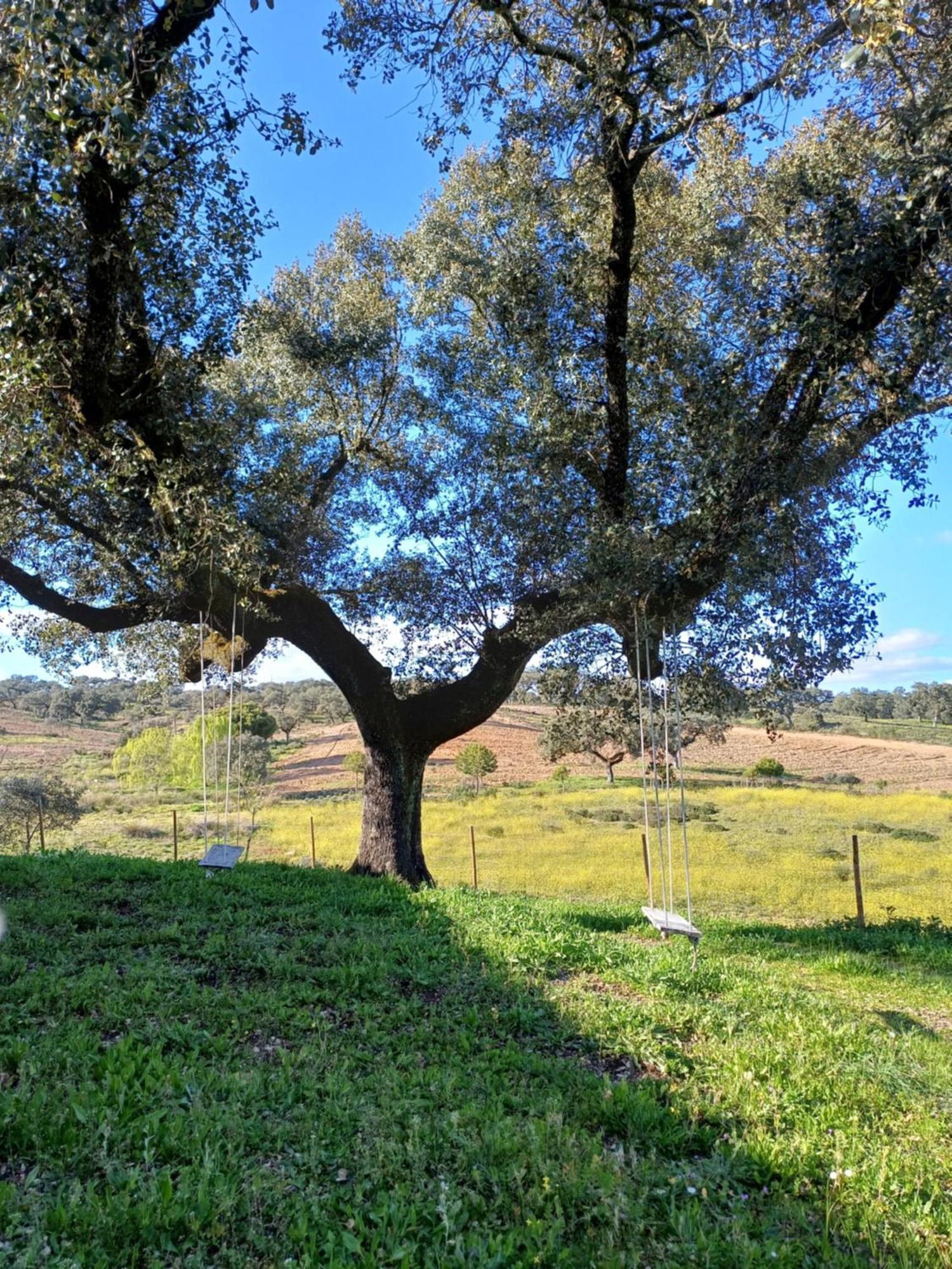 Penzion Monte Da Fonte Santa De Sao Luis Castelo Branco  Exteriér fotografie